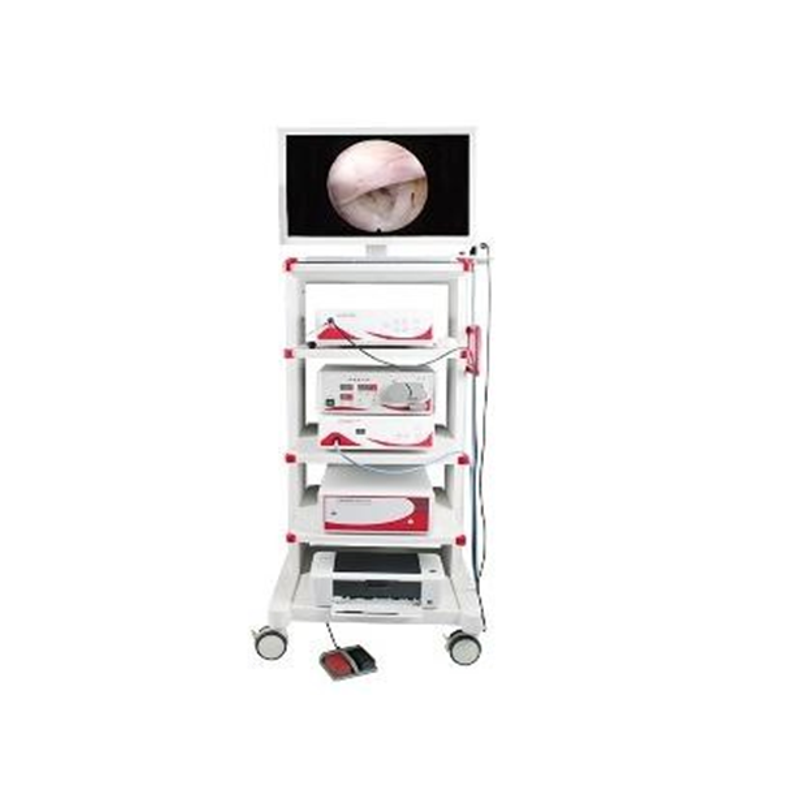 HAE-2000 Arthroscope Set